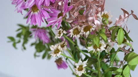 una boutique con una variedad de flores blancas marchitadas y secas