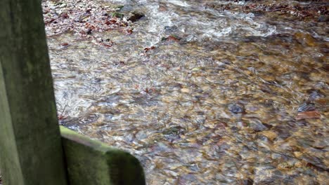 Clam-flowing-river-colourful-idyllic-Autumn-woodland-lush-foliage-footbridge-dolly-right