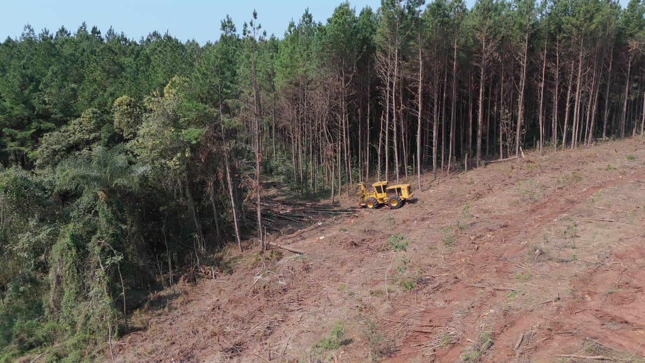 A harvester machine cutting down and pulling trees in a deforested area, human impact on nature, aerial