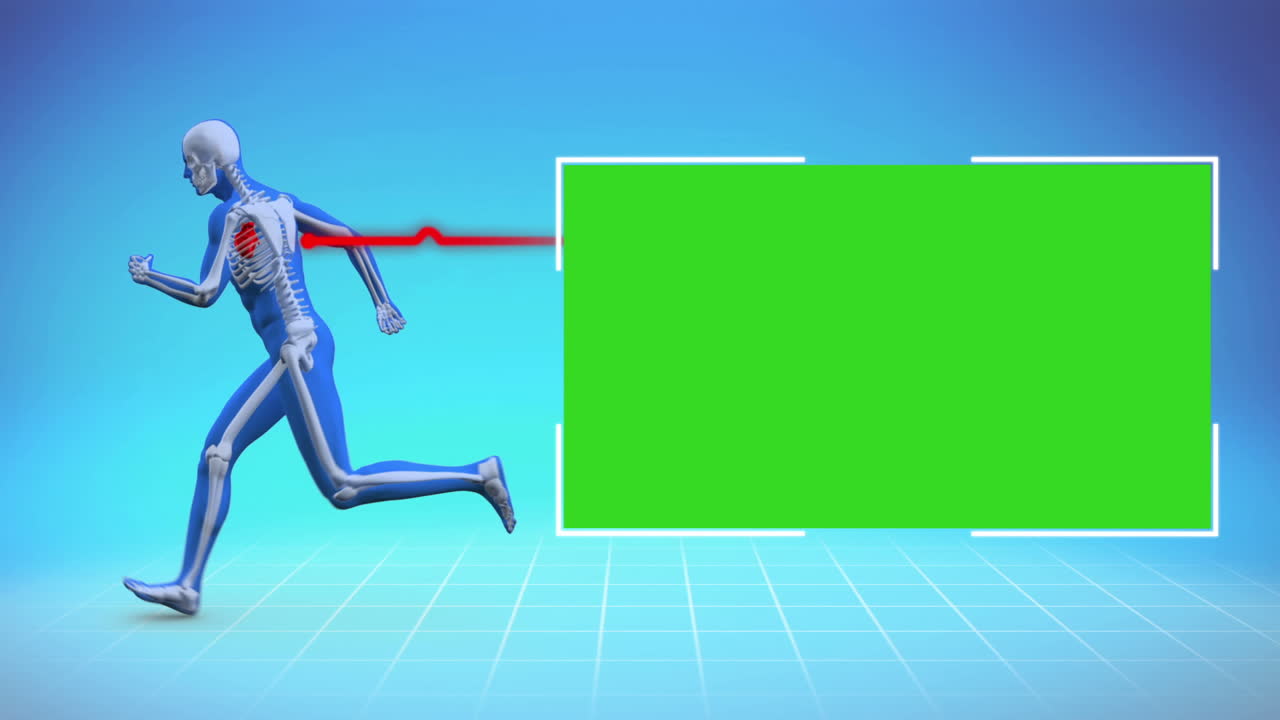 크로마 키 에서 달리는 골격