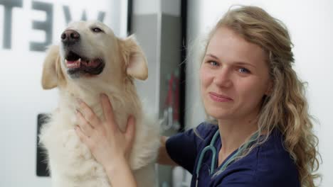 portrait of caucasian female vet in medical clinic.