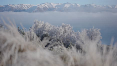 soft sunshine illuminating alpine scenery covered in hoar frost