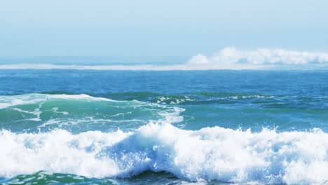 surfers surfing in sea