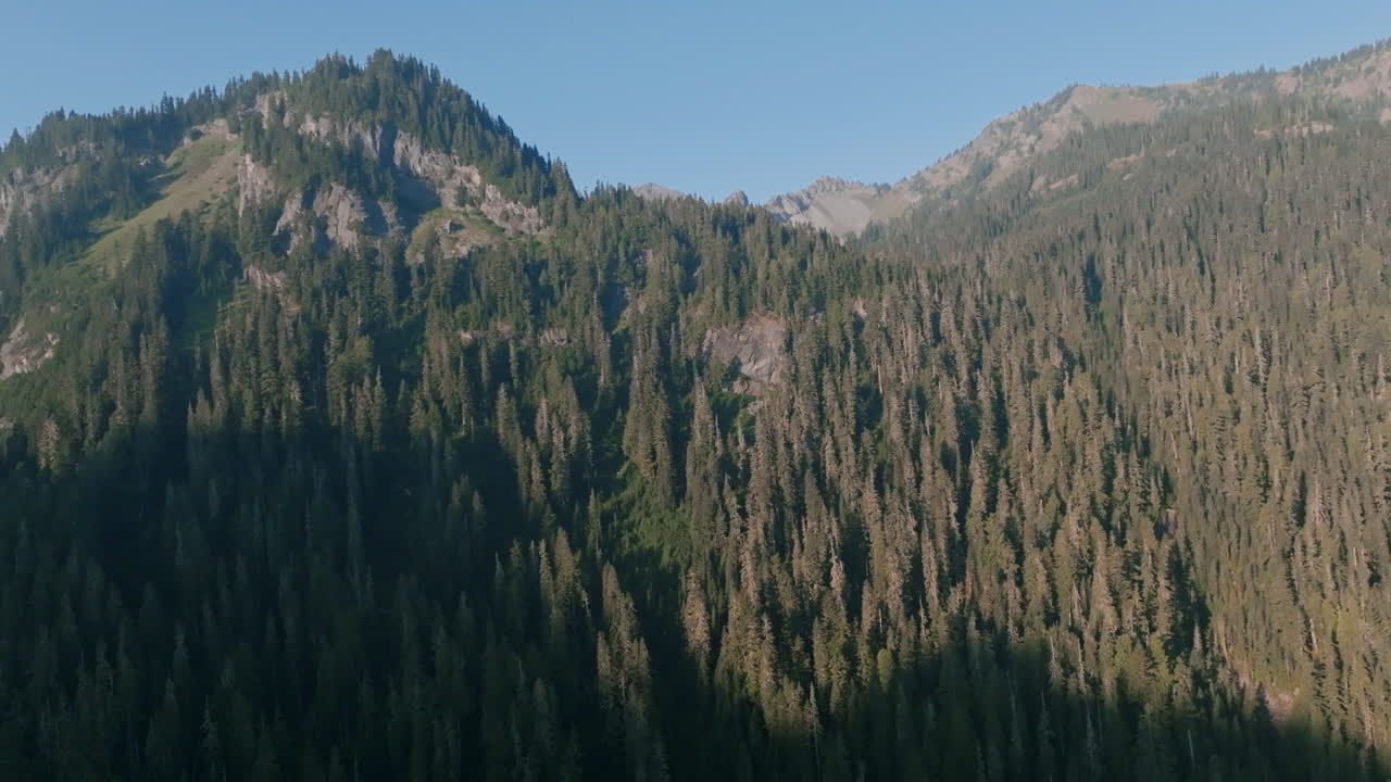 imágenes aéreas lentas que vuelan hacia la colina cubierta de árboles de las estribaciones de las montañas cascade en washington