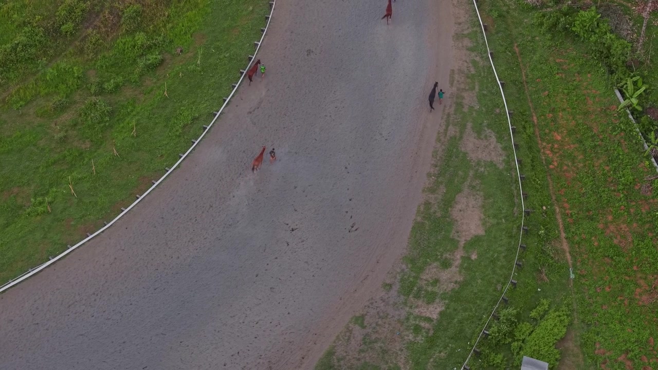 Aerial view of People leading horses across a racecourse in a green outdoor setting. Equestrian activity, race preparation, and animal care. Tegalwaton, Indonesia.