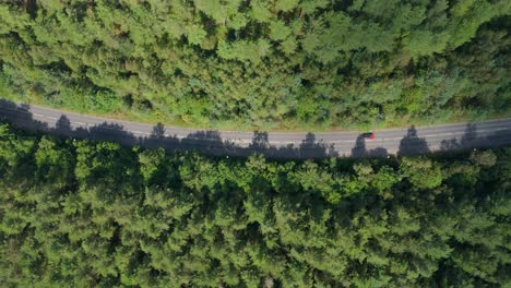 Drone cinematic top down aerial view of green forest canopy with road and moving traffic in Sherwood Forest near Nottingham England United Kingdom