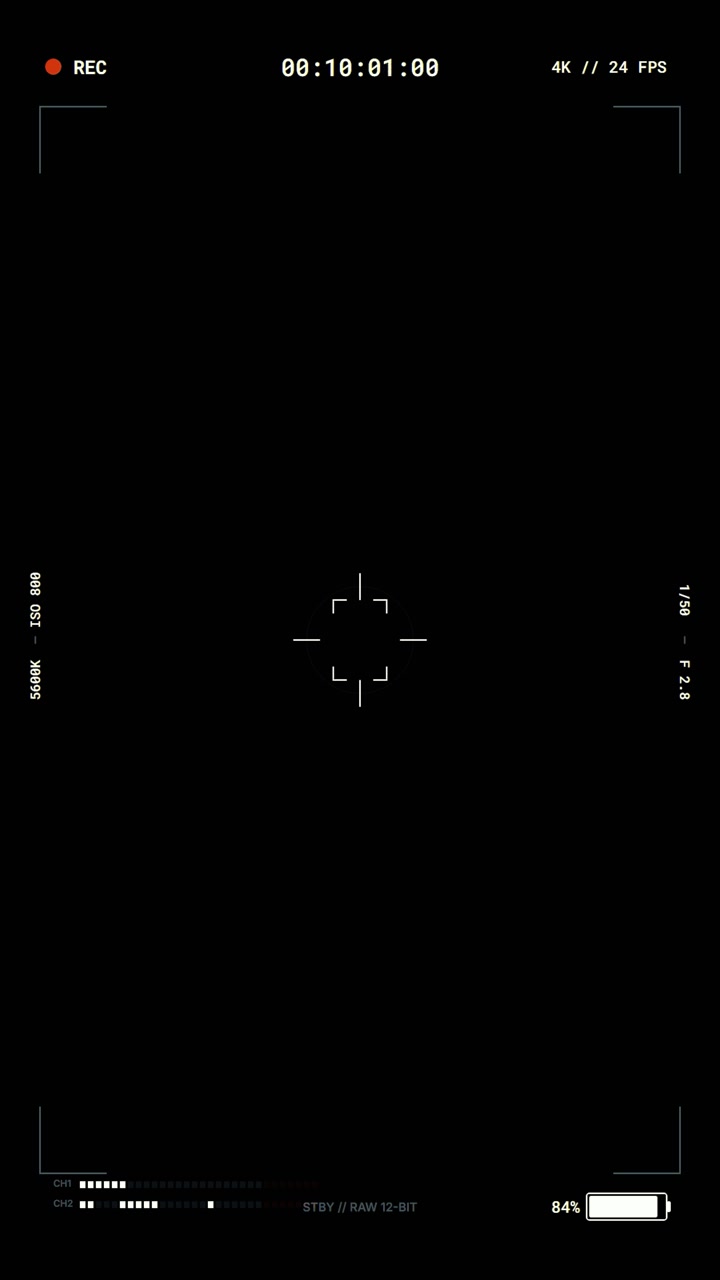 Digital Camera Viewfinder Overlay with Recording Interface
