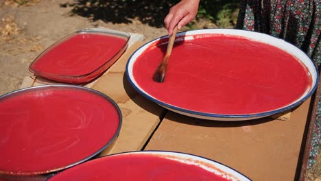 homemade and organic tomato paste and pepper paste. food sauces frequently used in turkish and asian cuisine.