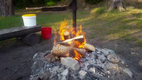 small bonfire in estonian forest