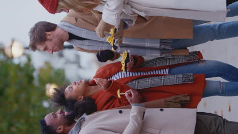 vertical video of friends outdoors wearing coats and scarves being attacked by seagulls as they eat takeaway fries on autumn or winter trip to london - shot in slow motion