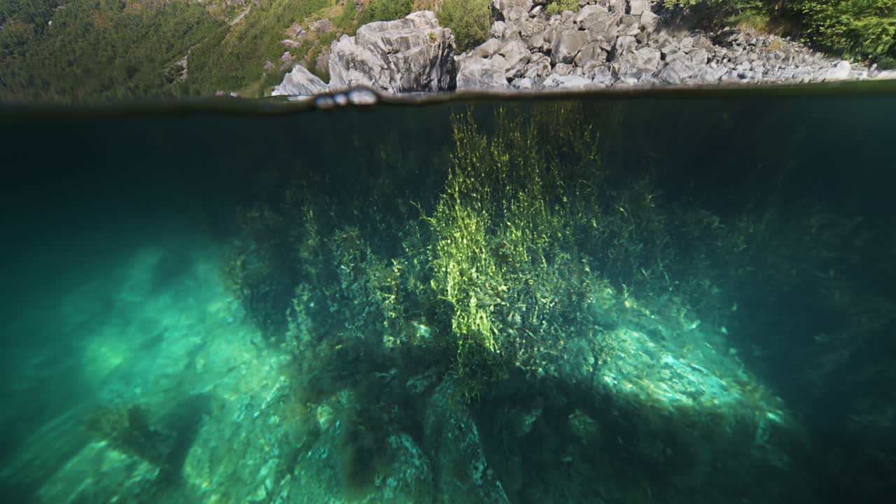 A rocky shoreline meets the crystal waters of Geiranger Fjord, where underwater plants sway lightly in the calm waters. An over-under view.