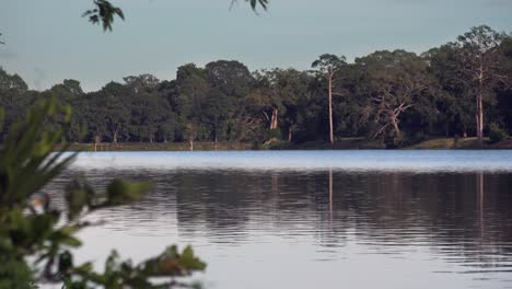el agua rodea angkor wat con la jungla.
