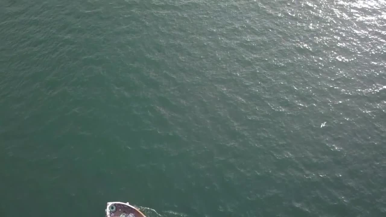 un arrastrero de pesca escocés visto desde arriba mientras las gaviotas vuelan a su alrededor