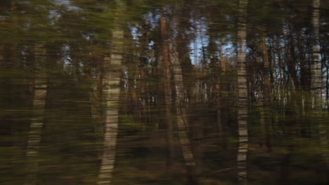 dolly shot passing through woodland in czech republic onboard train