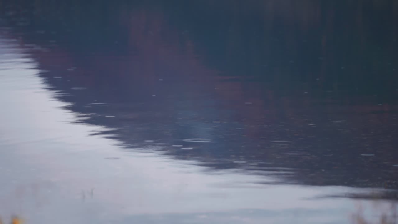 Dark autumn forest cast a shadow on the still surface of he lake