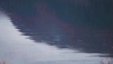 dark autumn forest cast a shadow on the still surface of he lake