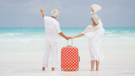 senior caucasian couple standing on beach with suitcase