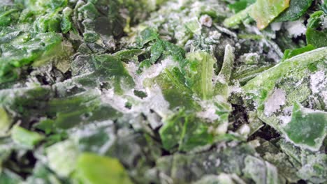 close up of frozen spinach leaves