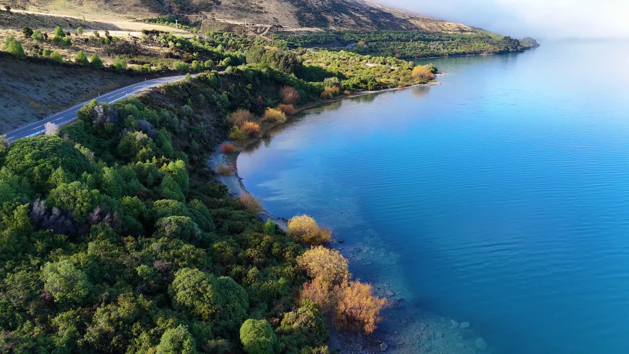 Drone captures serene lake and vibrant autumn trees in New Zealand. Clear blue water and lush greenery create a tranquil scene