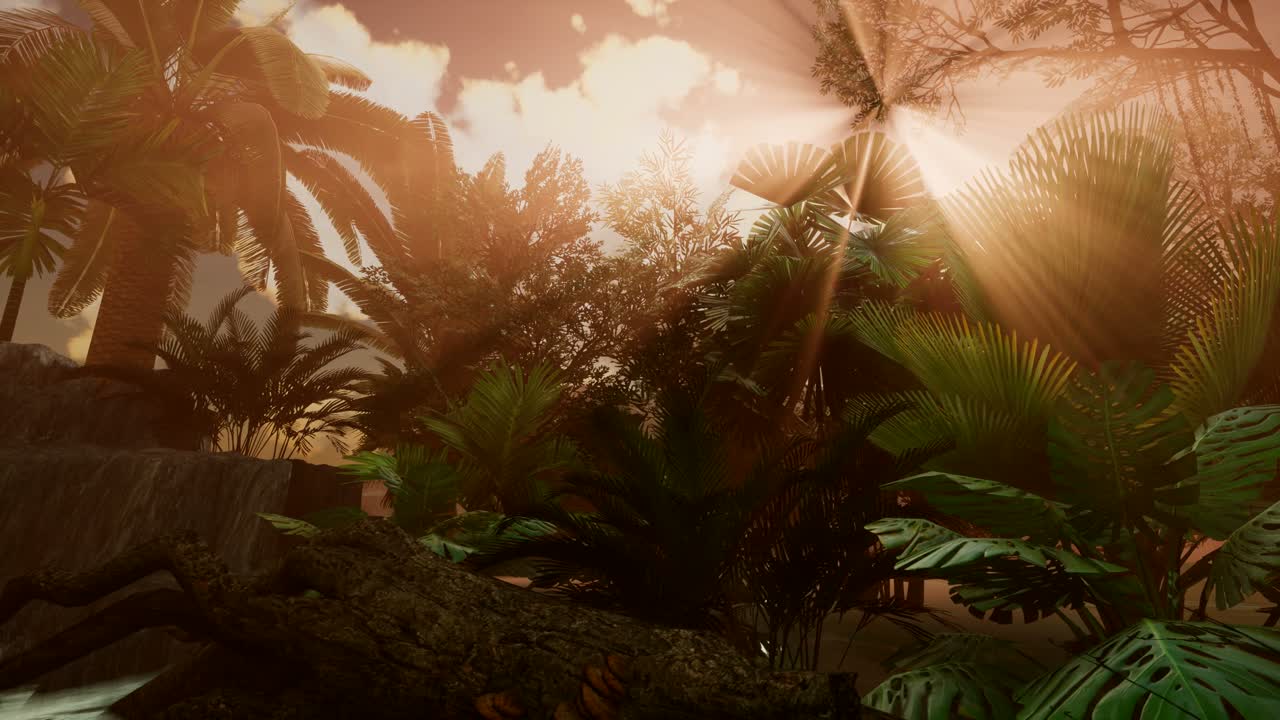 los rayos del atardecer a través de las palmeras