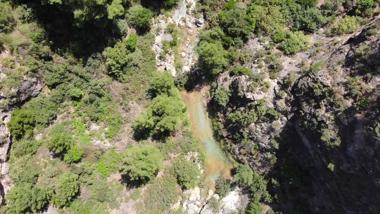 arroyo de montaña en el bosque con aguas coloridas