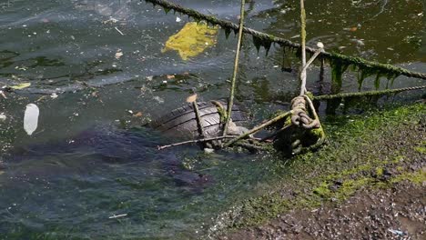 a discarded tire in a polluted river