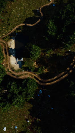 aerial view of a trail through a forest