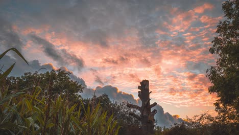 beautiful cloudscape during sunrise over woods near thetford river in norfolk, uk