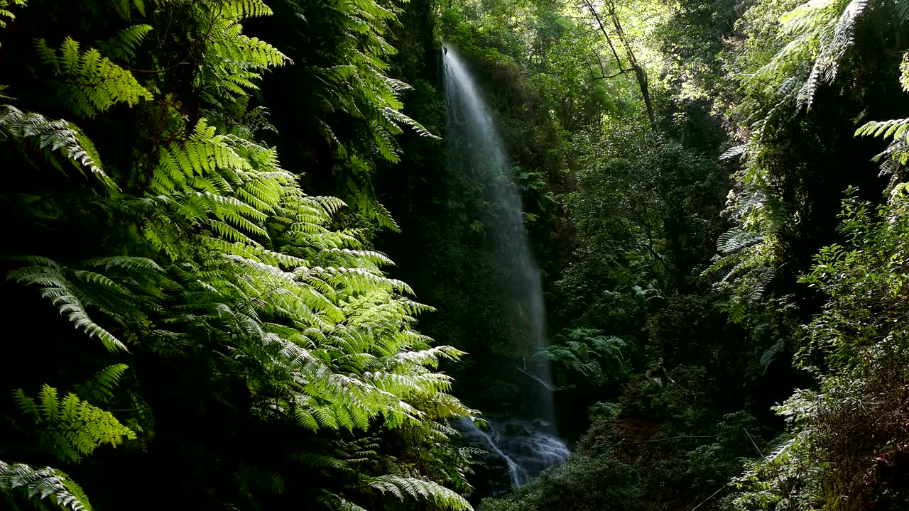 Waterfall "The Lindens",in Island of La Palma, Canary Islands, Spain.
