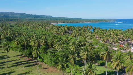 vuelo aéreo sobre exuberante vegetación en la playa de arroyo salado