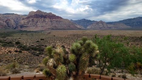 Panorama-De-Montaña-En-Una-Pintoresca-Parada-En-La-Carretera-Cerca-De-Las-Vegas,-Nevada