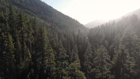 Un-Lento-Y-Cinematográfico-Disparo-De-Un-Dron-Ariel-Flotando-Sobre-Los-árboles-Hacia-La-Autopista-50-En-California,-Cerca-Del-Lago-Tahoe,-En-El-Profundo-Desierto-Y-El-Bosque-De-Pinos-Siguiendo-El-Río-Americano.