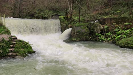 cascada rústica en un bosque