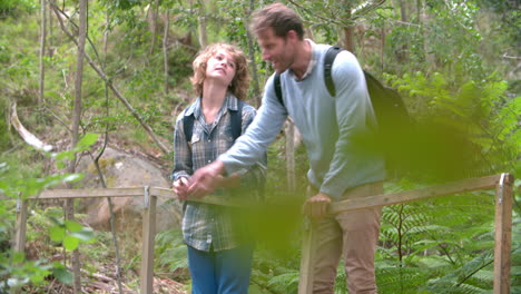 father with son walking to a wooden bridge in a forest