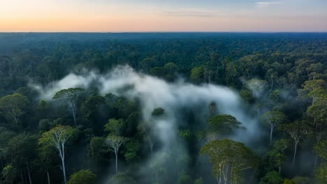 aerial view of amazon rainforest with fog