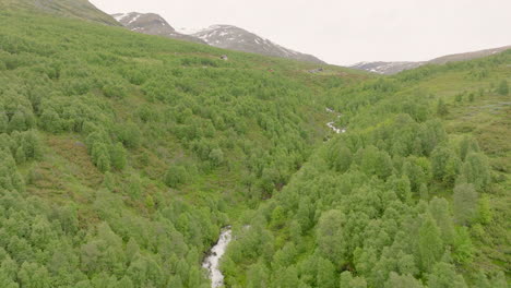 mountain stream snaking down mountainside covered with lush woodland