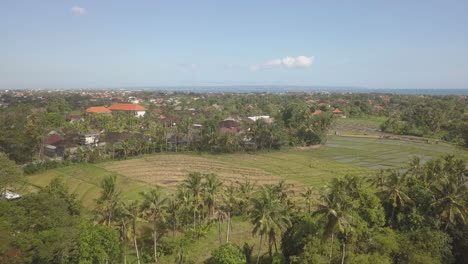 Antena-Tropical-Se-Eleva-Sobre-Campos-De-Arroz-Verde-En