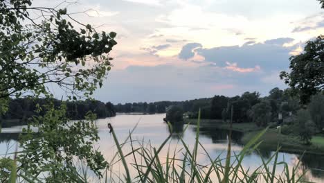 the shore of the lake