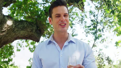 Group-of-friends-toasting-champagne-glasses-while-having-lunch