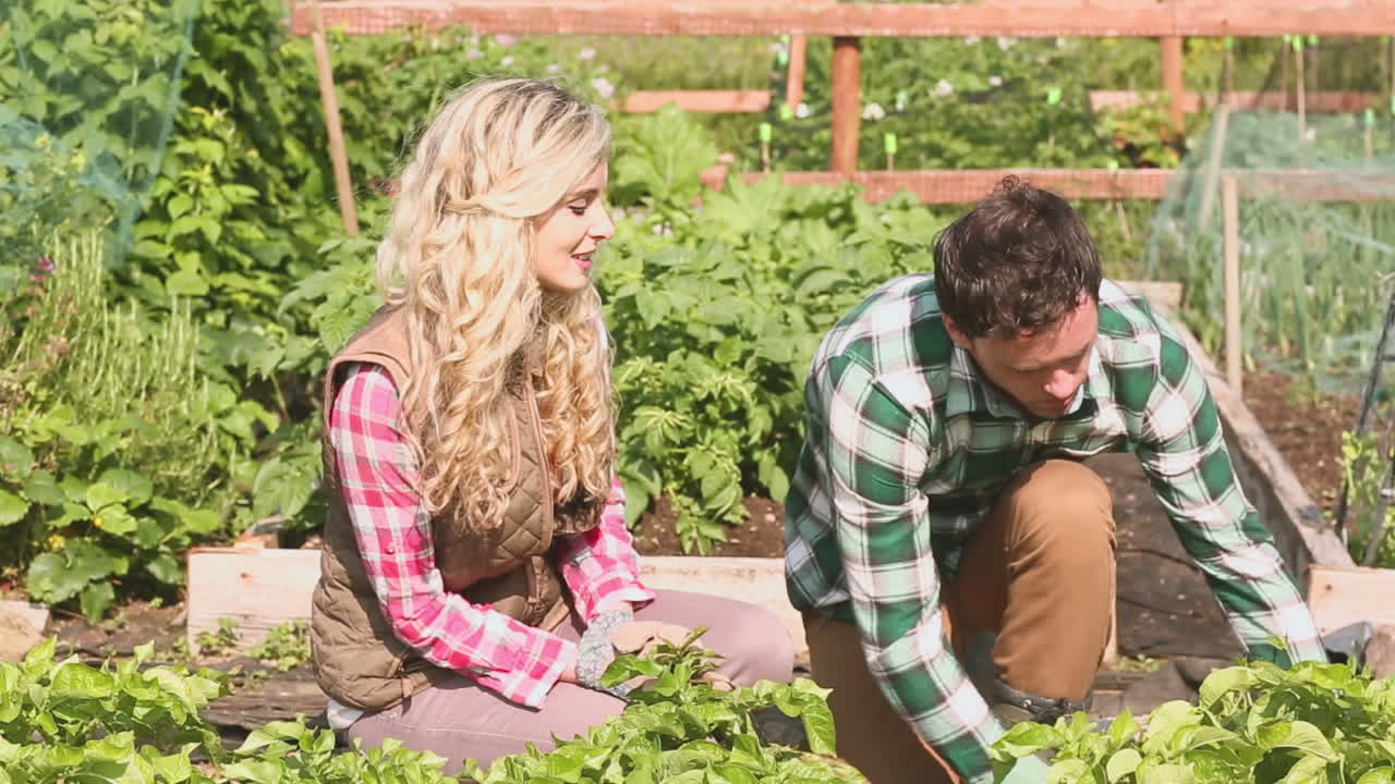 una pareja atractiva haciendo jardinería juntos.