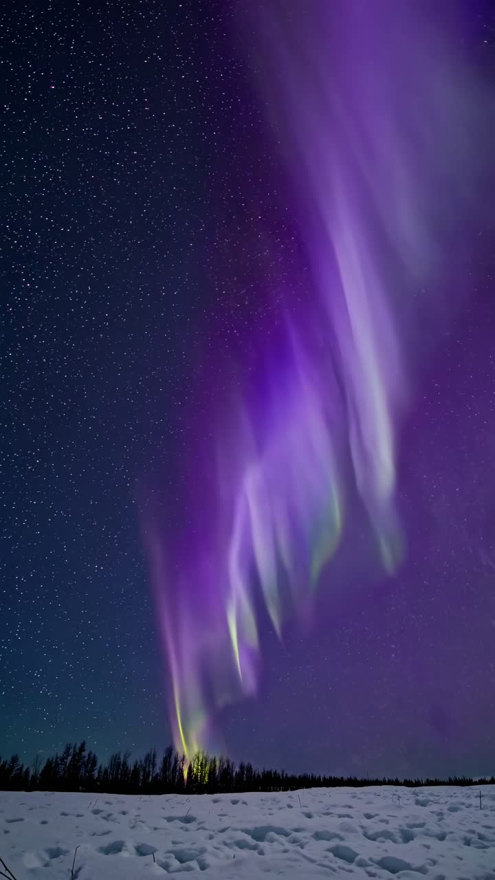 A mesmerizing wide-angle shot captures vibrant auroras dancing over a snowy landscape