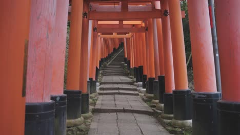 puertas torii rojas en fushimi inari taisha, inclinación hacia arriba revelada sin gente, kyoto