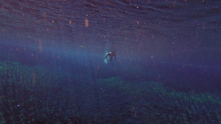 Diver exploring in the dark waters full of natural debris