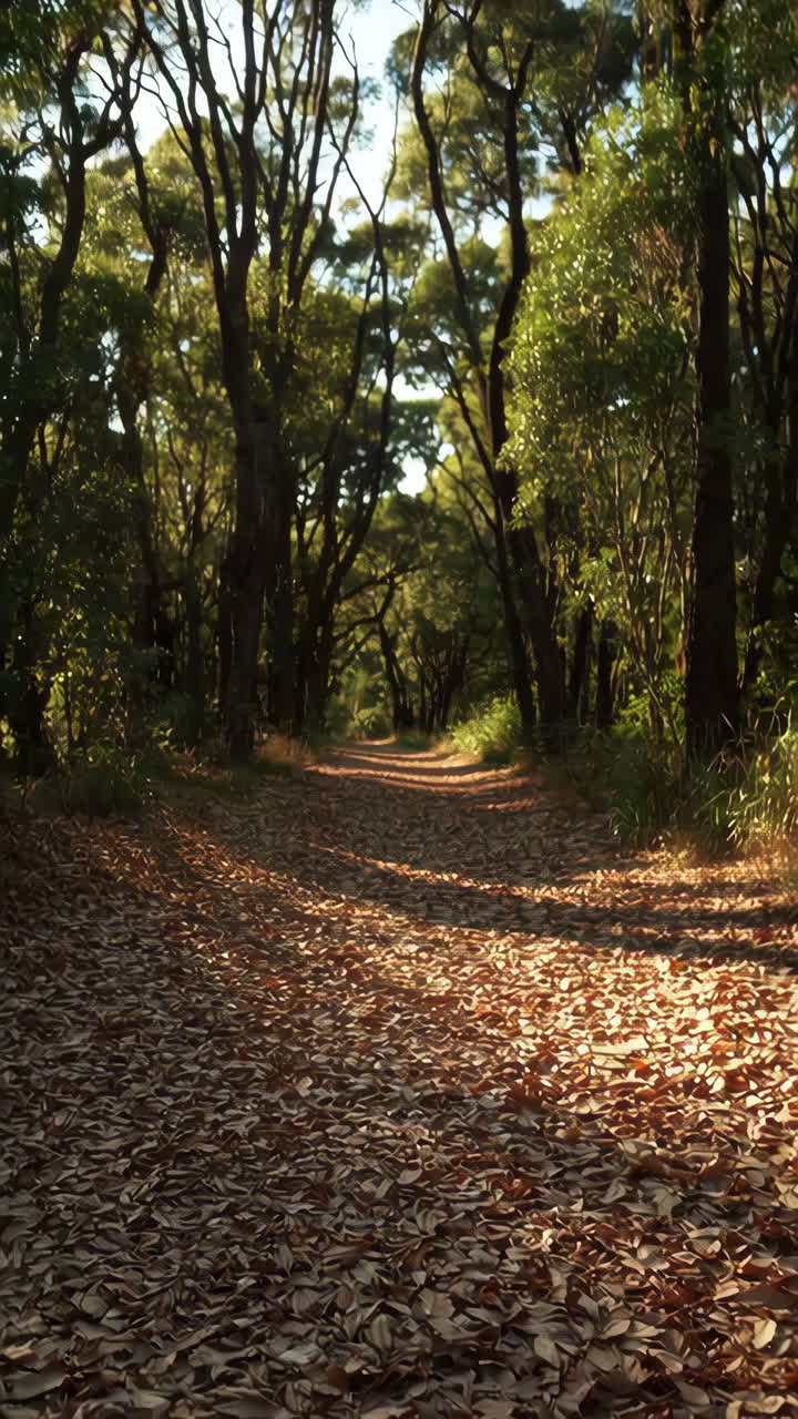 Forest Path Covered in Autumn Leaves