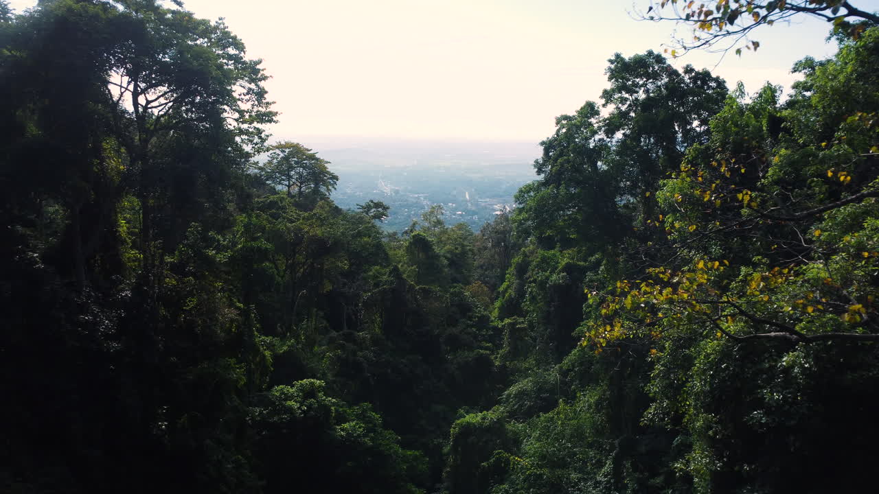 una vista majestuosa sobre las copas de los árboles verdes en la jungla vietnamita