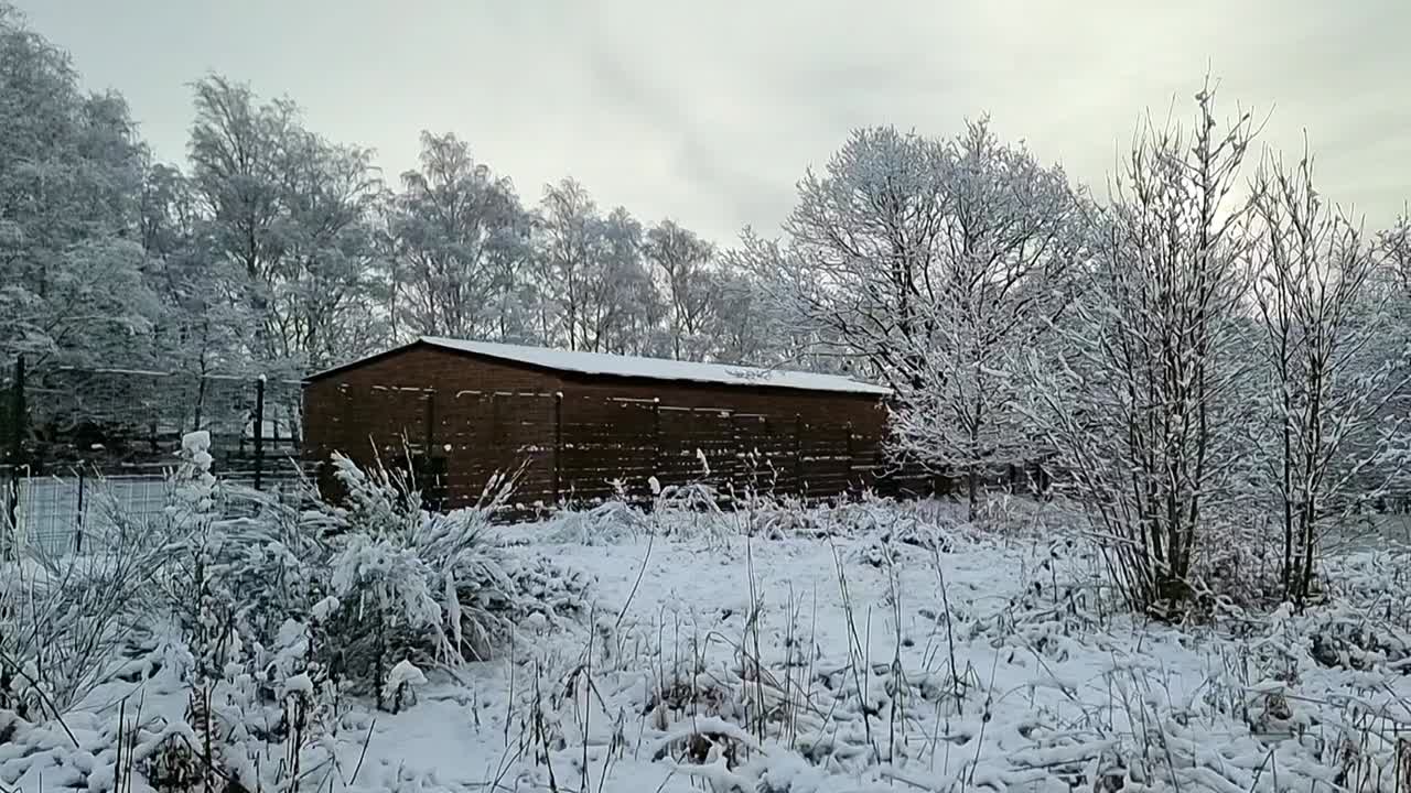 농촌 숲의 안전한 금속 울타리로 둘러싸인 벽돌 농장 저장 창고