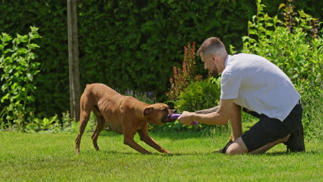 man playing with his boxer dog in the garden