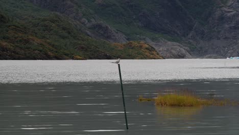 Mendenhall-Lake-in-the-summertime,-Alaska