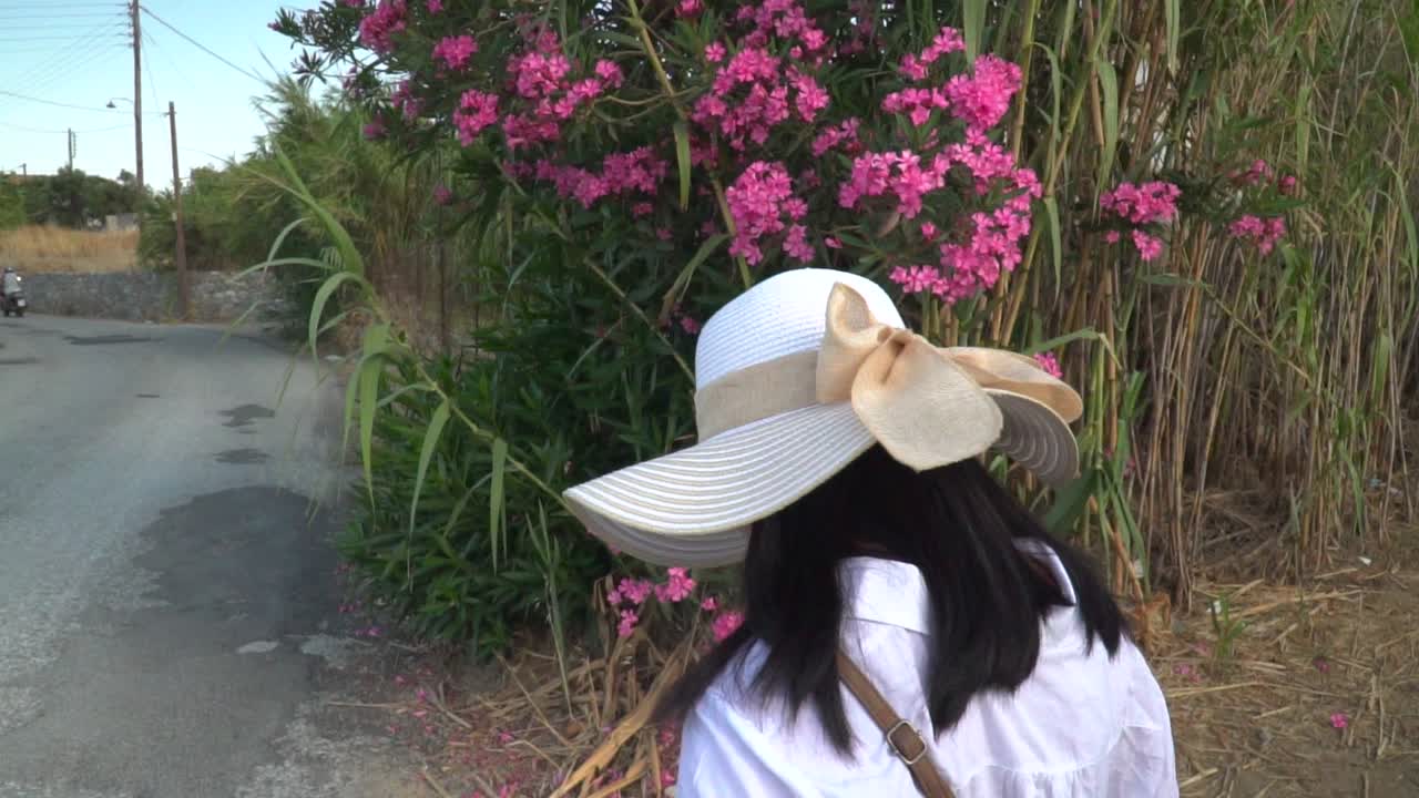 그리스 시골 슬로우 모션에서 꽃 옆에 걷는 여름 하이킹 outfir에서 여성의 뒤를 따라