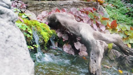 mini waterfall through moss into a small stream